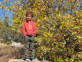 Load image into Gallery viewer, Picket 3/4 Zip Up