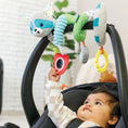 Load image into Gallery viewer, Spiral Activity Toy Raccoon