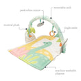 Load image into Gallery viewer, Funtastic Activity Play Gym