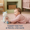 Load image into Gallery viewer, Itzy Bitzy Mirror- Kinsley the Kitty