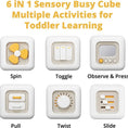 Load image into Gallery viewer, Fine Motor Activity Cube