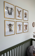 Load image into Gallery viewer, Safari Framed Prints- 6 Pack