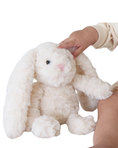 Load image into Gallery viewer, Cuddle Plush Friends