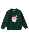 Load image into Gallery viewer, Santa Christmas Sweater