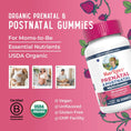 Load image into Gallery viewer, Mary Ruth's Organic Prenatal & Postnatal Multivitamin Gummies