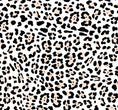 Load image into Gallery viewer, Ruffle Leopard Lunch Box