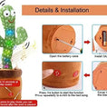 Load image into Gallery viewer, Singings Mimic Cactus
