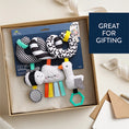 Load image into Gallery viewer, Itzy Bitzy Spiral Car Seat Toy- High Contrast
