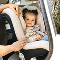 Load image into Gallery viewer, UPPAbaby Rove Convertible Car Seat
