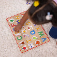 Load image into Gallery viewer, See-Inside Alphabet Peg Puzzle
