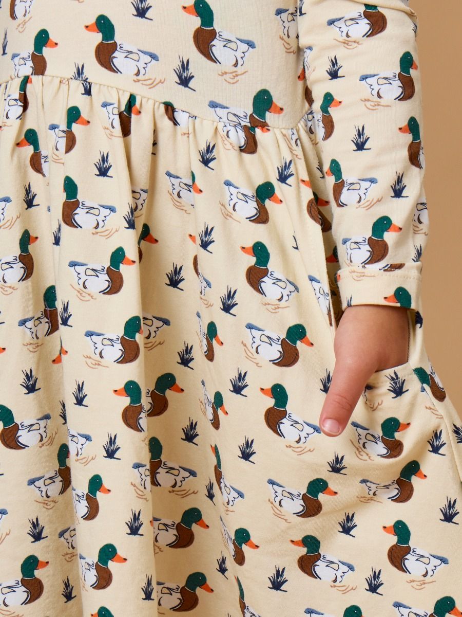 Long Sleeve Twirl Dress- Mallard Marsh