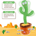 Load image into Gallery viewer, Singings Mimic Cactus
