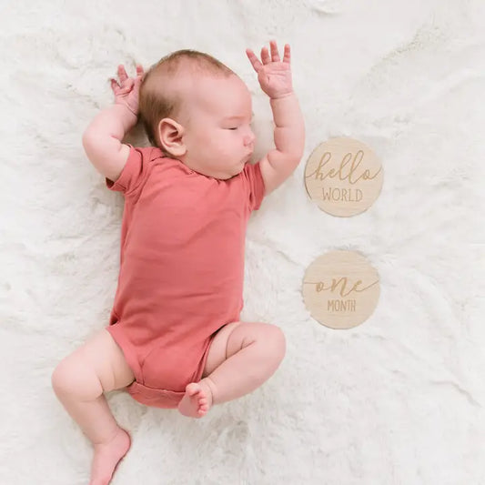 Wooden Reversible Monthly Milestone Photo Prop