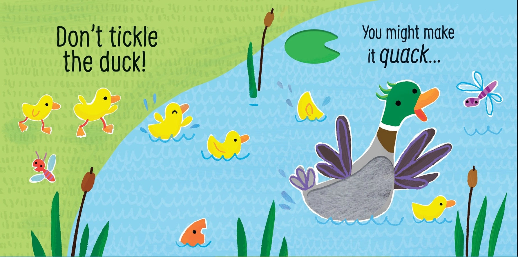 Dont Tickle The Duck