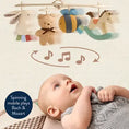 Load image into Gallery viewer, Itzy Music & Motion Activity Gym
