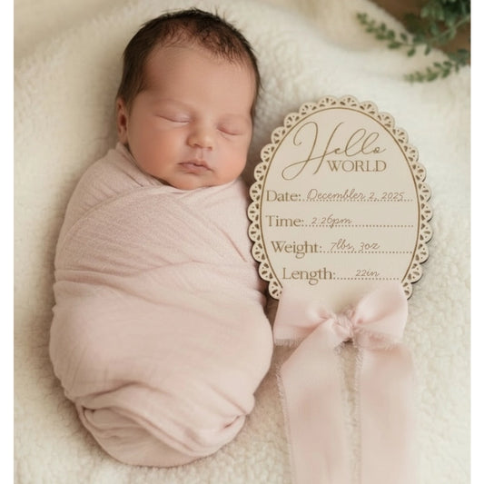 Hello World Baby Birth Announcement Sign