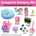 Load image into Gallery viewer, Sensory Bin
