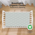 Load image into Gallery viewer, 2-Pack Organic Cotton Fitted Crib Sheet
