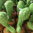 Load image into Gallery viewer, Singings Mimic Cactus

