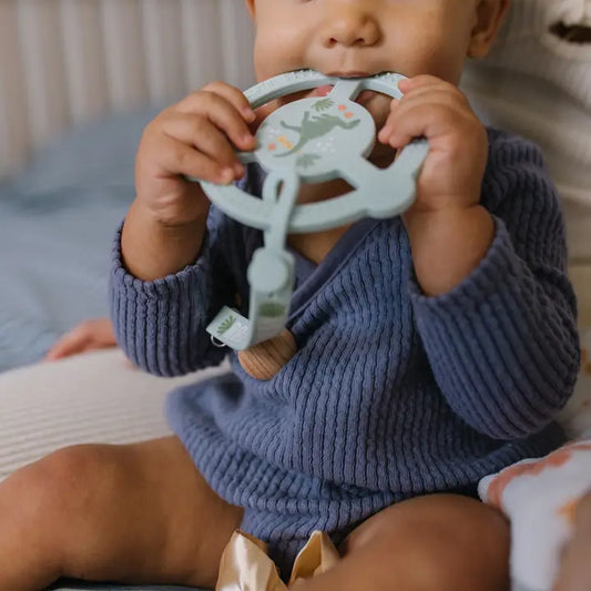 Silicone Teether Ring W/ Clip - Roarsome
