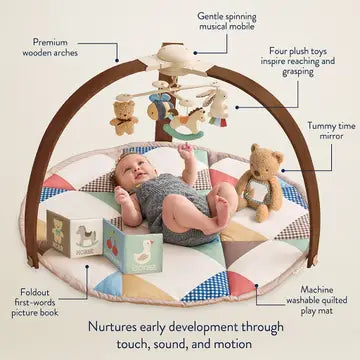 Itzy Music & Motion Activity Gym