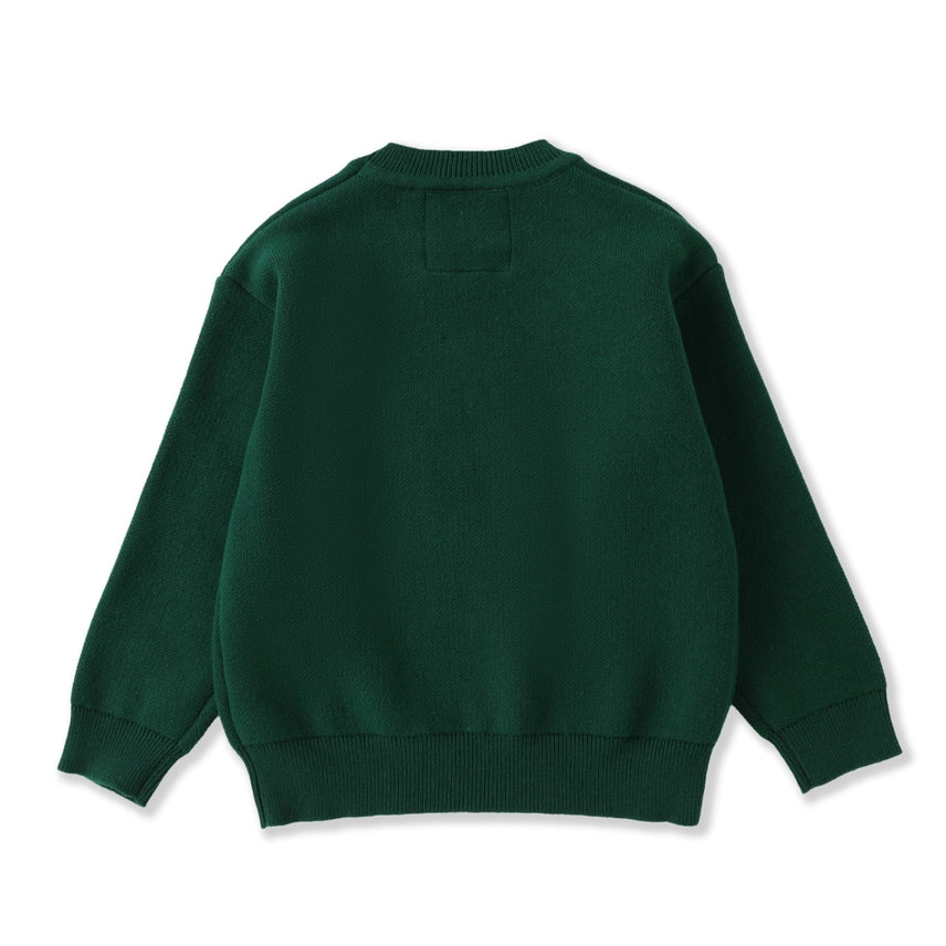Santa Christmas Sweater
