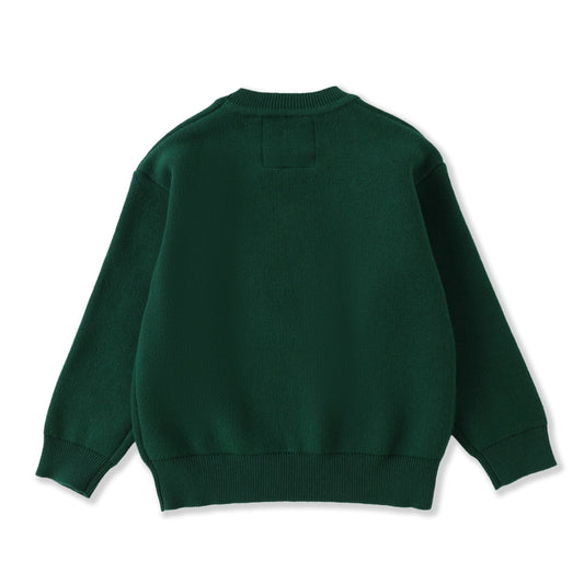 Santa Christmas Sweater