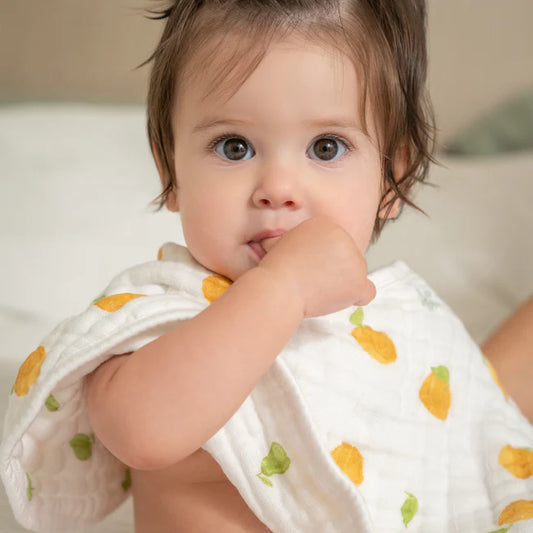 Aden+Anais Fresh Fruit Organic Burpy Bibs 2-Pack