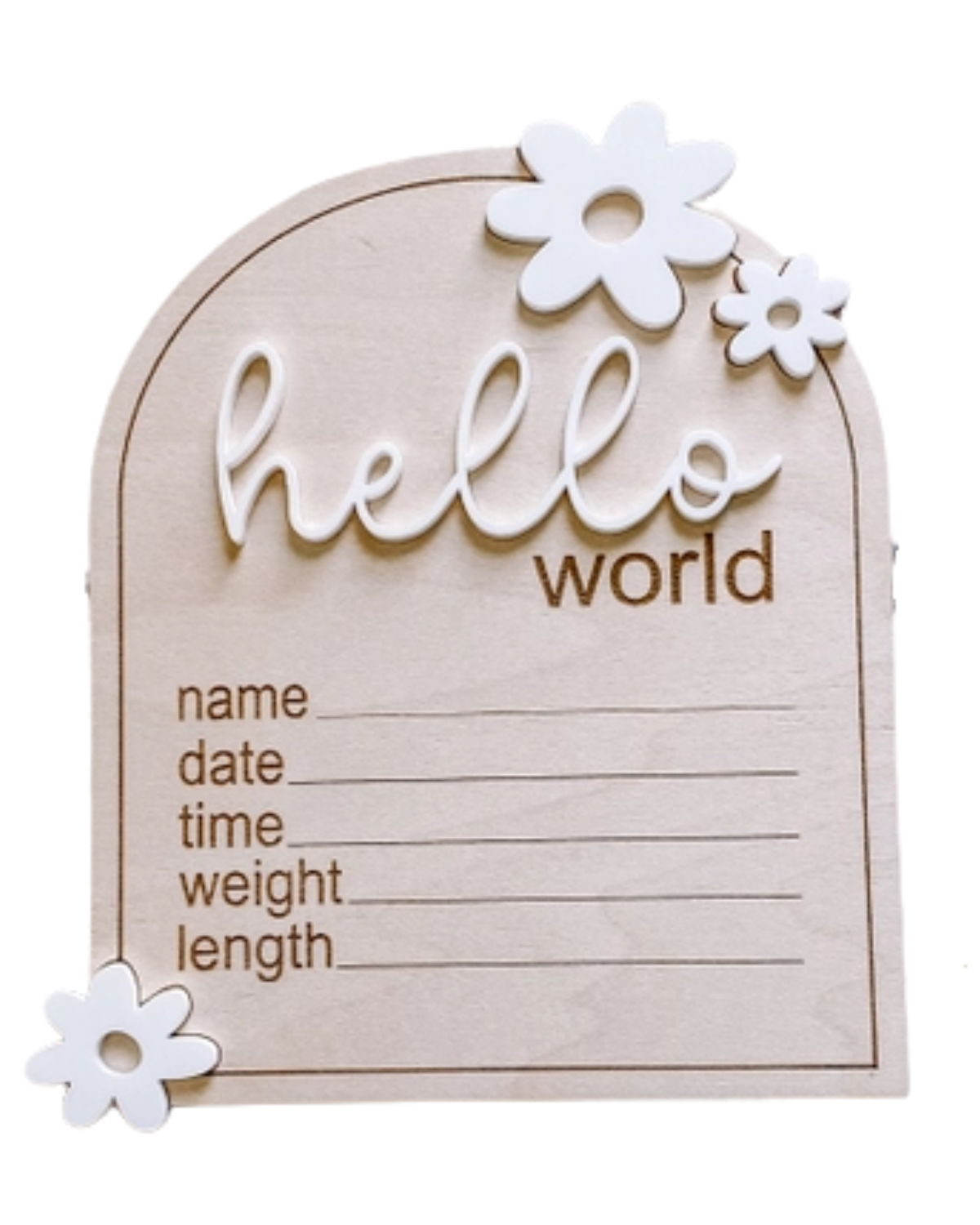 Hello World Birth Stat Sign | Pink Flowers