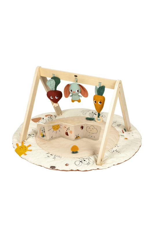 Garden of Adventures Luxe Developmental Gymini