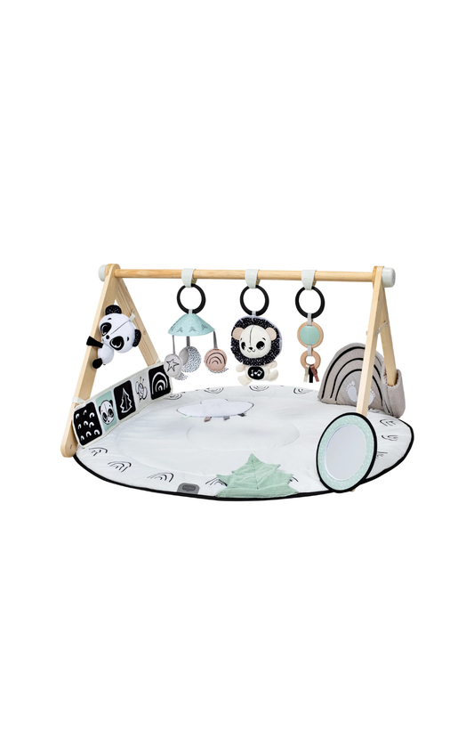 Black & White Décor Luxe Developmental Gymini