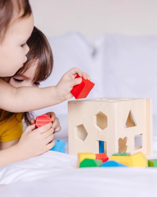 Wooden Shapes Activity Cube