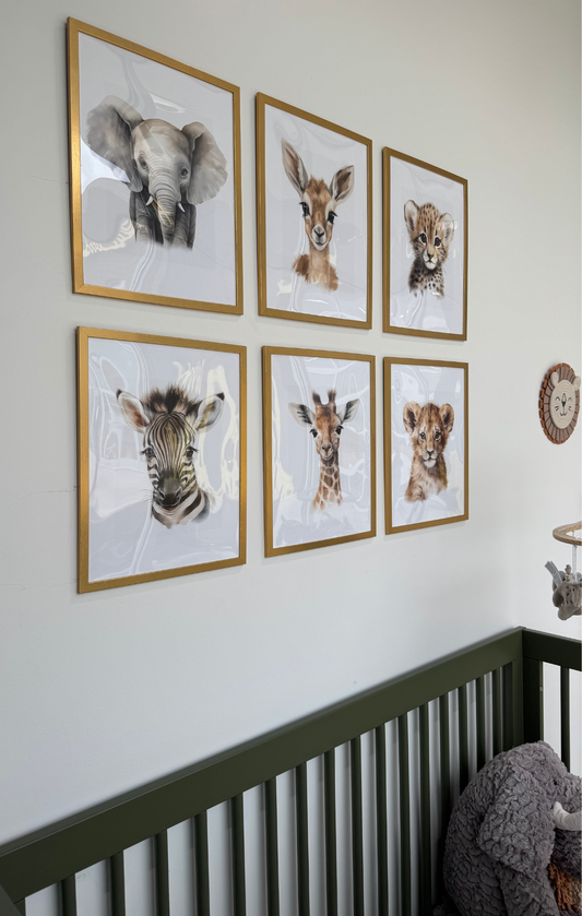 Safari Framed Prints- 6 Pack