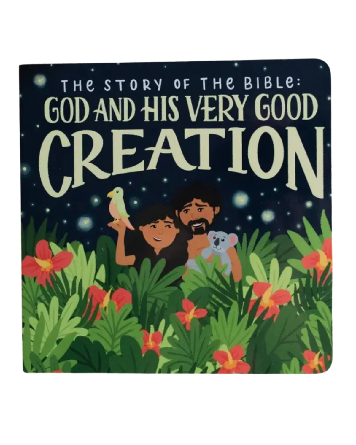 The Story of the Bible: God and His Very Good Creation