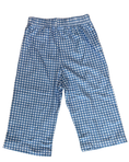 Load image into Gallery viewer, Blue Dino Gingham Pant Set
