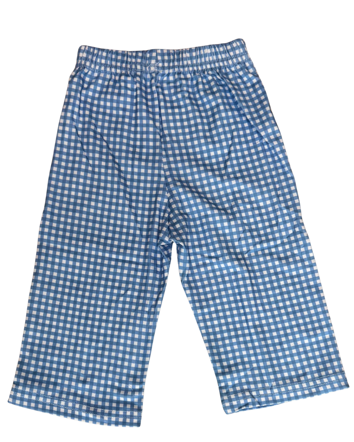 Blue Dino Gingham Pant Set