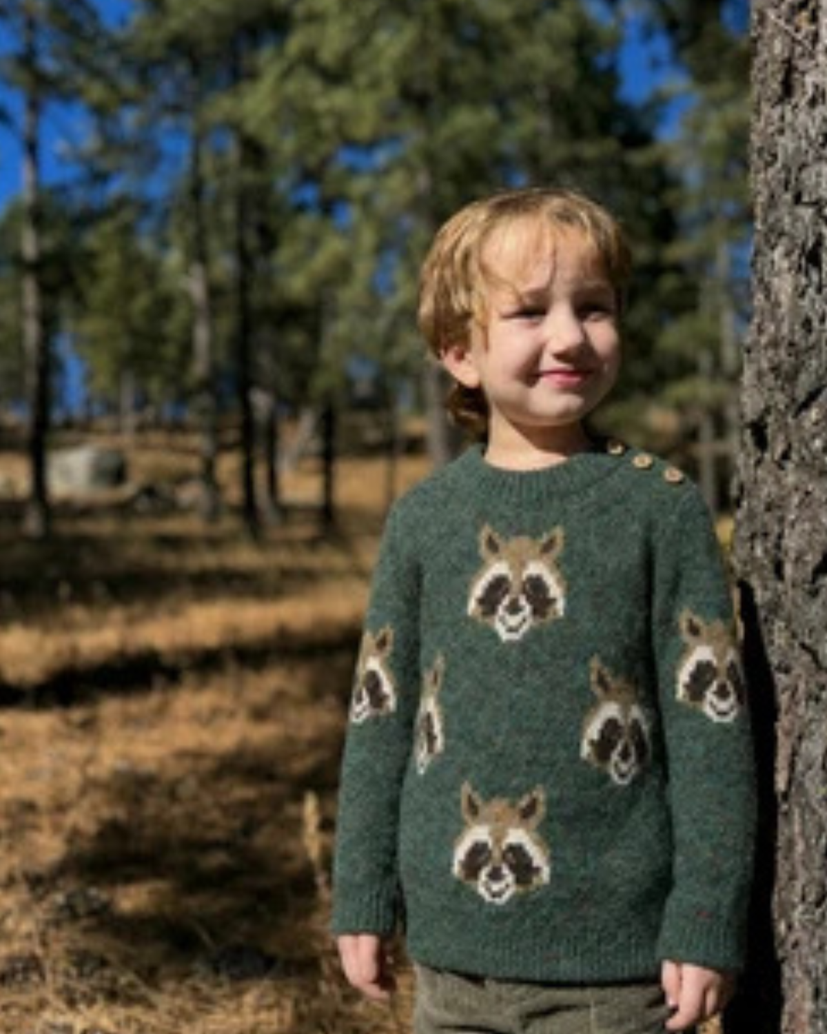 Racoon Sweater