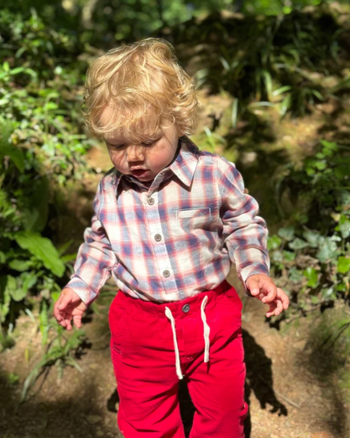 Modoc Cord Pants - Red