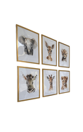 Load image into Gallery viewer, Safari Framed Prints- 6 Pack
