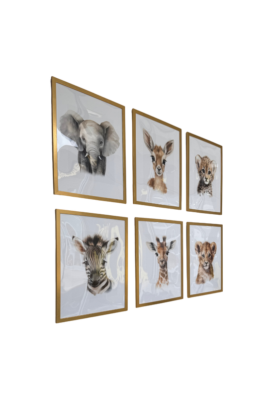 Safari Framed Prints- 6 Pack