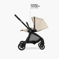 Load image into Gallery viewer, DFY R1 Stroller
