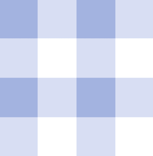 Blue Gingham Backpack