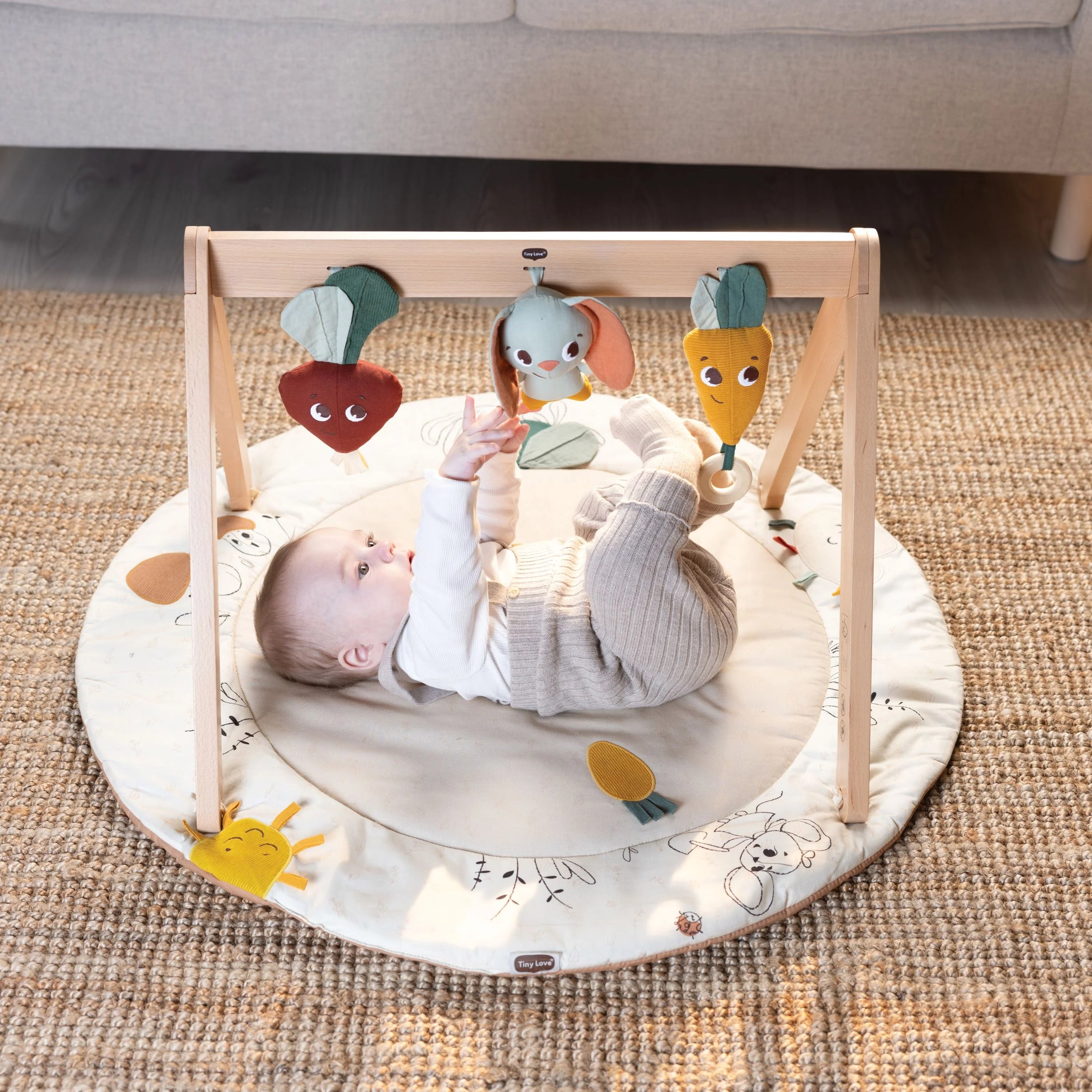 Garden of Adventures Luxe Developmental Gymini
