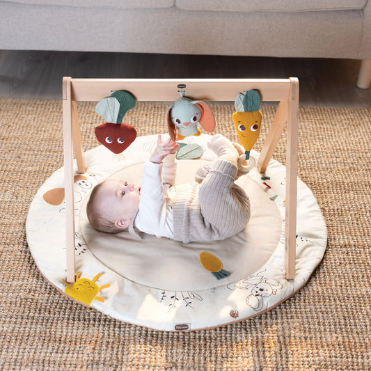 Garden of Adventures Luxe Developmental Gymini