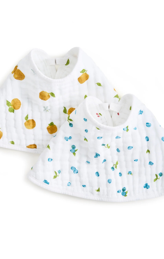 Aden+Anais Fresh Fruit Organic Burpy Bibs 2-Pack