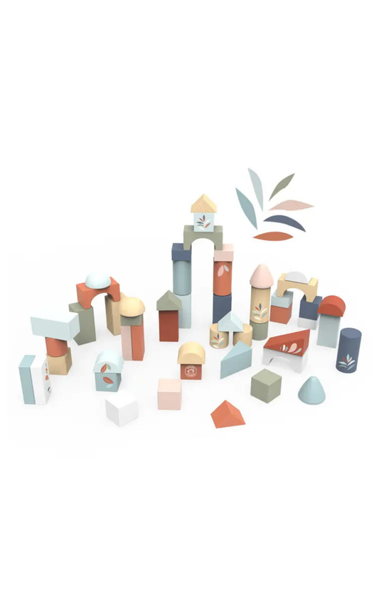 Building Blocks (50 Pieces)