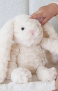 Load image into Gallery viewer, Cuddle Plush Friends
