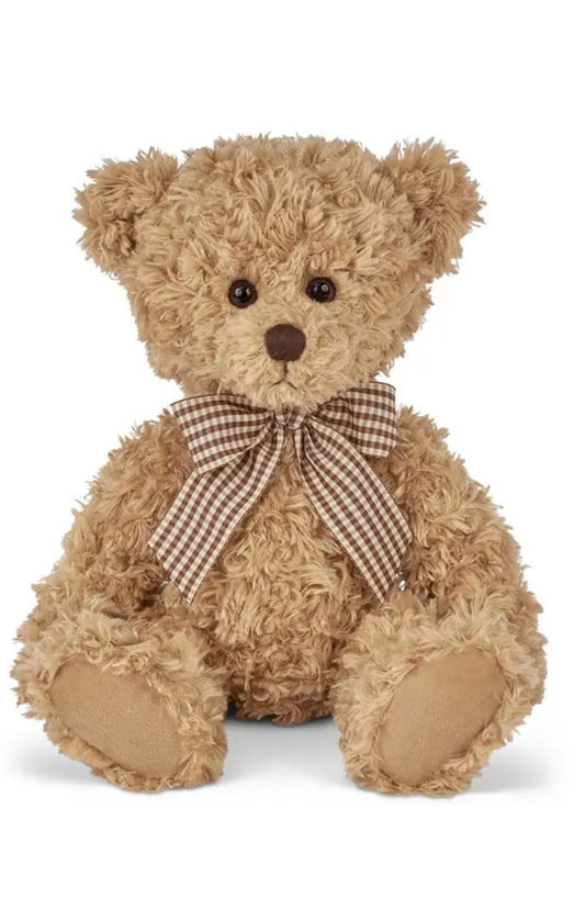 Theodore the Teddy Bear