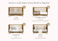 Load image into Gallery viewer, Delta Children Dylan 4-in-1 Convertible Crib
