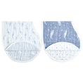 Load image into Gallery viewer, Aden+Anais Oceanic Organic Burpy Bibs 2-Pack
